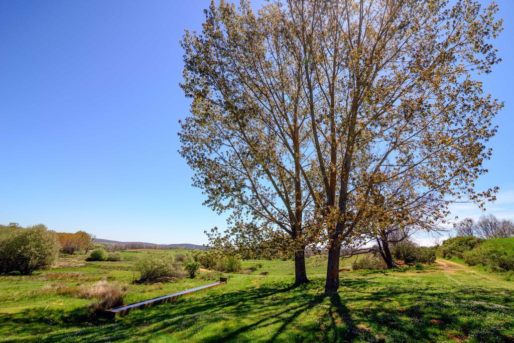 Hotel El Molino Congosta Εξωτερικό φωτογραφία